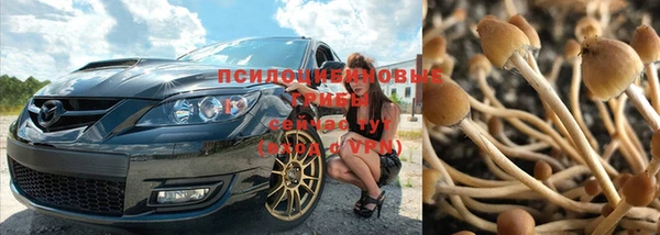 дживик Алзамай