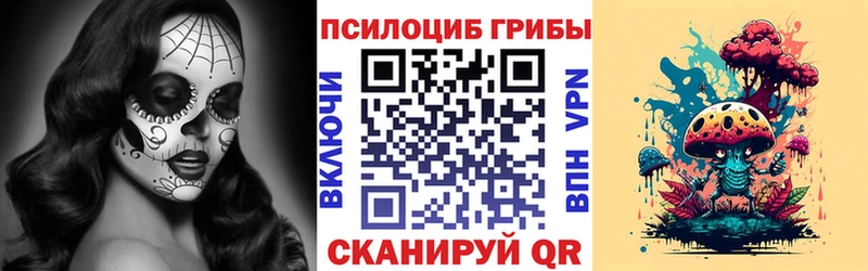 Псилоцибиновые грибы Psilocybe  купить наркоту  Ардатов 