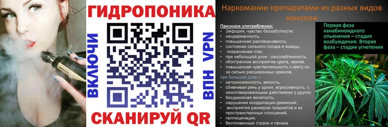 Конопля ГИДРОПОН  дарнет шоп  Ардатов 
